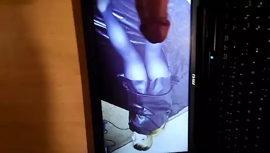 Tributegeilemaus için haraç
