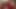 amateur femboy in red lingerie takes bbc dildo