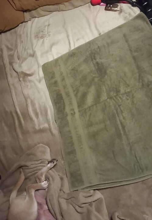 رجل مثلي الجنس يداعب ثقبه بأصابعه