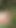 Memorable moment from "Wild beach. Random passerby guy peeps on sunbathing topless beautiful Milf on the river bank"