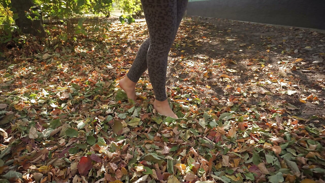 Leaves Crunching Underfoot Asmr