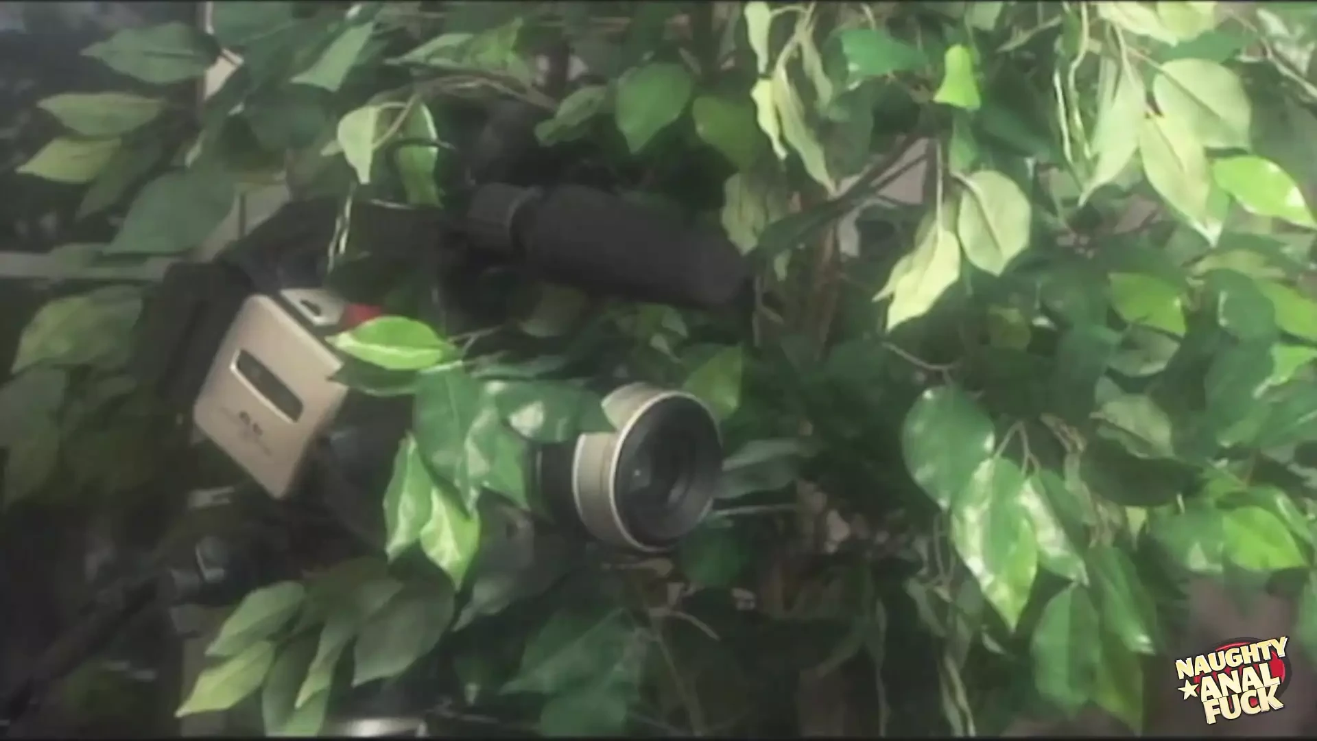 A Naturally Curvaceous Redhead Spreads Her Big Buns to Allow Two Cocks to  Angrily Scold Her