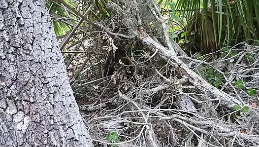 Прогулка на природе за кулисами и мастурбация по тропе