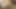 Pornostars Im Gruppensex Fieber