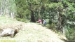 Pratinjau video