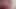 Siaran langsung si ratu anal ngentot sama pria lain di webcam tanpa ampun