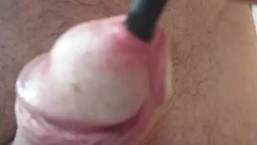 germe üretra