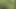 Natural titted German lady gets her muff destroyed in the middle of the woods