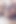 Bellina, Roxy Taggart ve Leila Bee Mashmallow 4