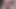 Master Urethral Sounding on Giant Cock
