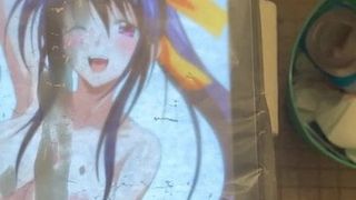 Akeno himejima hyllning begärd av animeaddiction