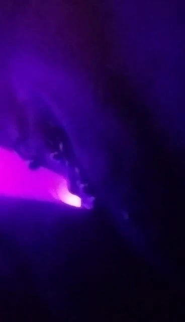 Purple light dildo play