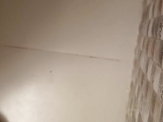 New desi bathroom sex video Part 1