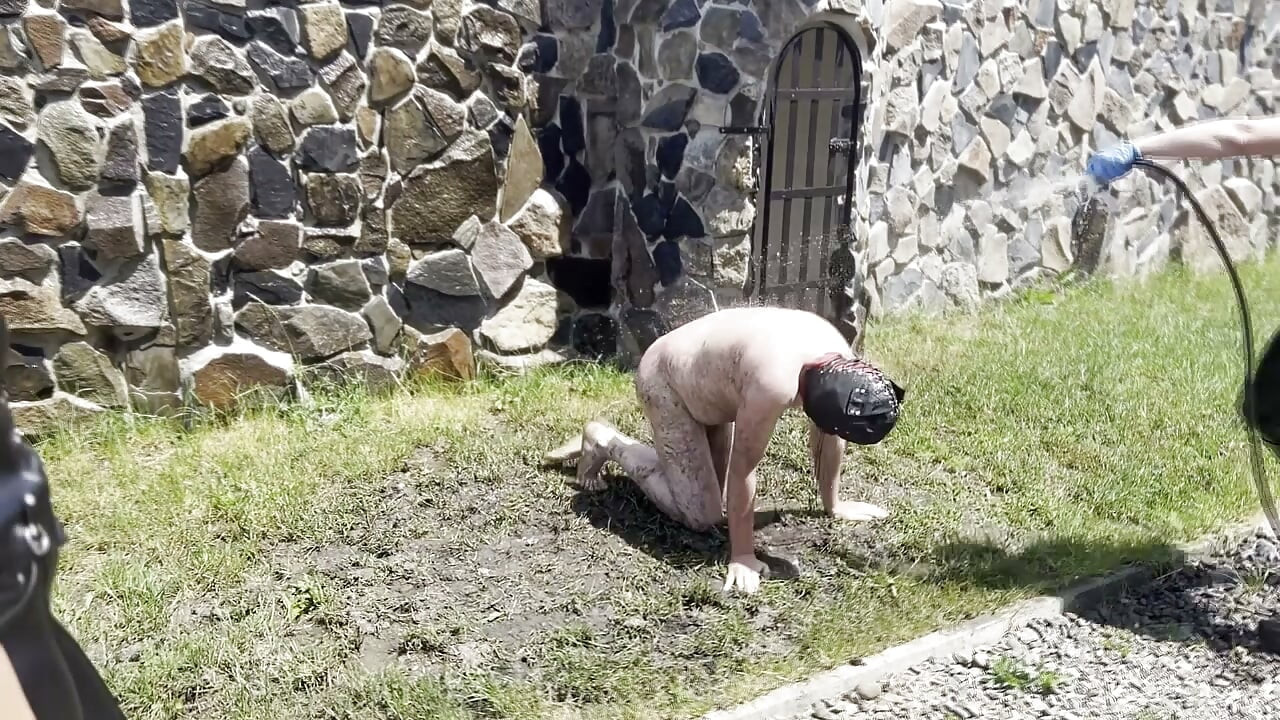 Rouler dans la boue et se laver à l'eau glacée - JEU DE COCHON