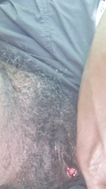 Tu l’appelles arbuste ou ?