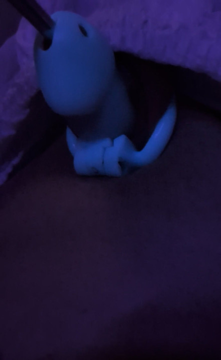 In chastity inserting the thickest sounding rod that will fit through