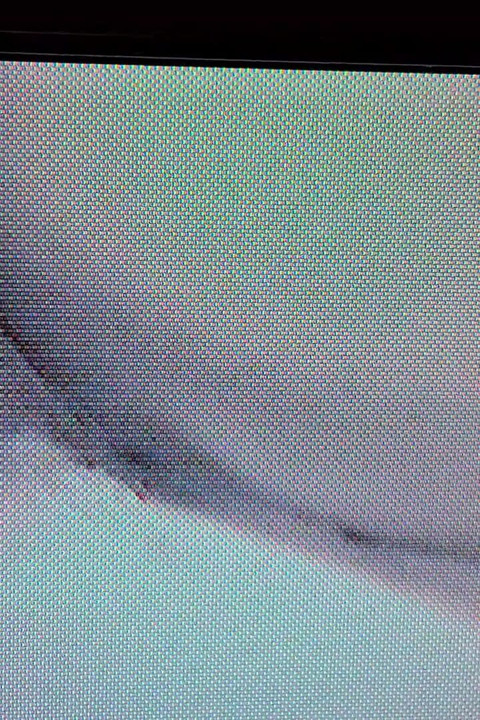 Motion