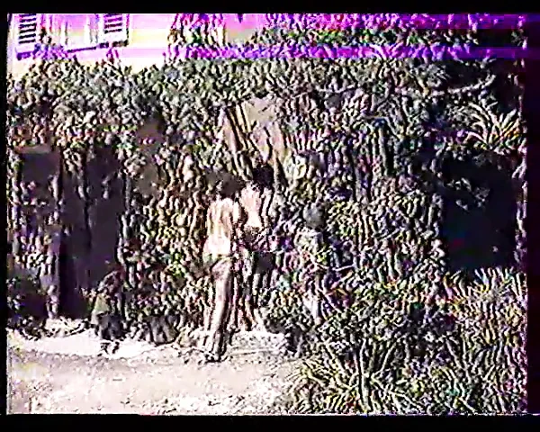 Putes dechainees (1984)