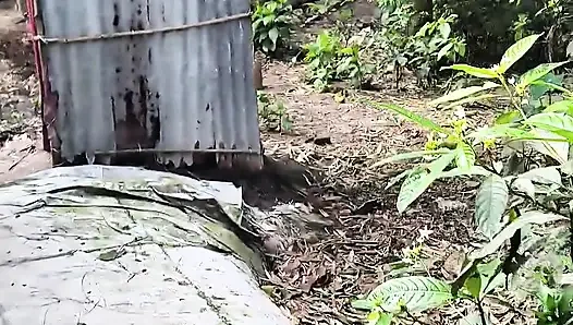 Тихая красотка моего сада