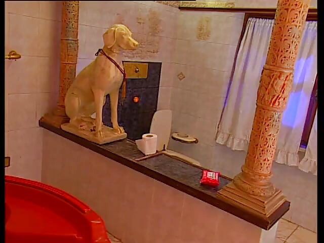 Kollektion, Italien knullar, i rövhålet och fittan, anal ridning, avsugning, runka