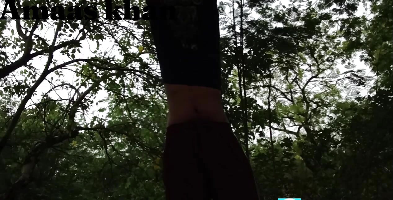 Jungle my Mangal part 1