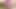 Bangbros - yaramaz Natalia Miguel'i sert, kesintisiz plaj kenarında sikişiyor