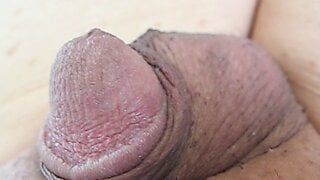 Close up cum of Asian cock