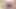 monster boob milf masturbating on vr cam