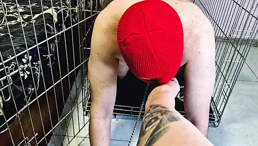 Nika si cewek dominan mengizinkan budak seks merangkak keluar dari sangkarnya supaya dia mencium, menjilat kakinya, mengisap jari kakinya.