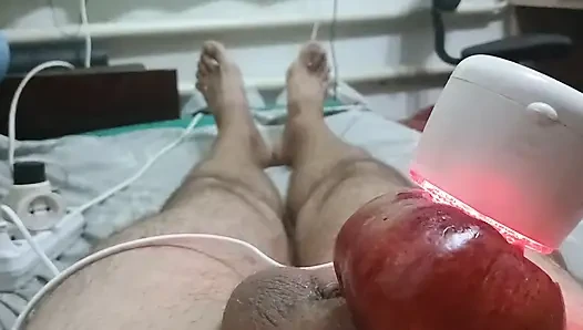 Cennet elması çok eğlenceli