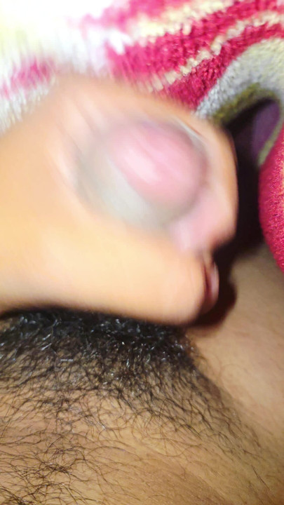 Indian black cock