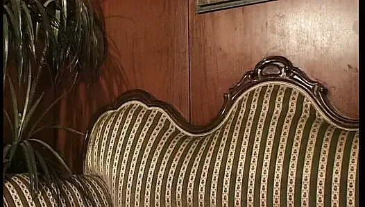 Perfekt geformte deutsche schlampe auf dem sofa gefickt