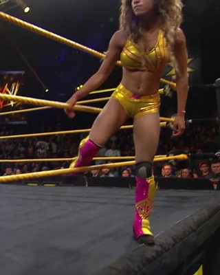 Sasha Banks - wwe nxt 9-11-13