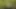 Pumping my tattooed milf pussy in the woods to the max, then masturbating until I squirt