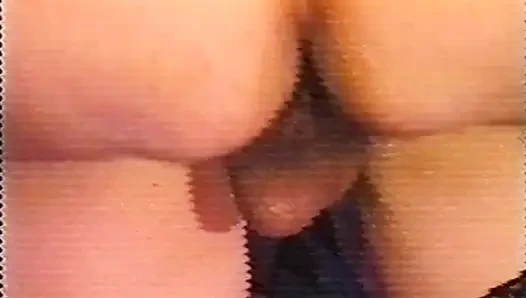 Kamyoncunun Arkadaşları