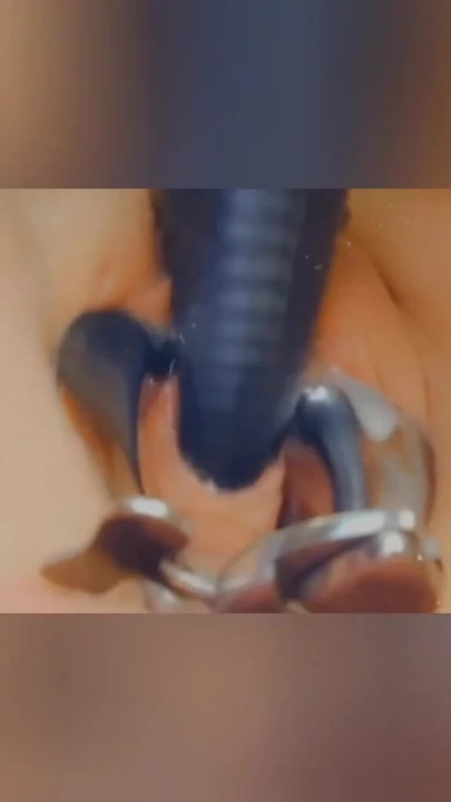 Key moment from "German sub SklavinS a new Peehole Slave Training! Until her Master can fuck her urethral!!"