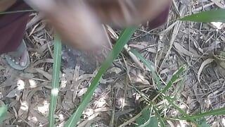 Cây trai độc thân trong rừng video sex