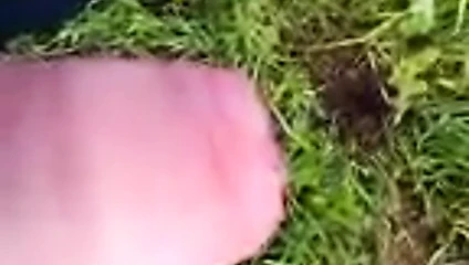 ant