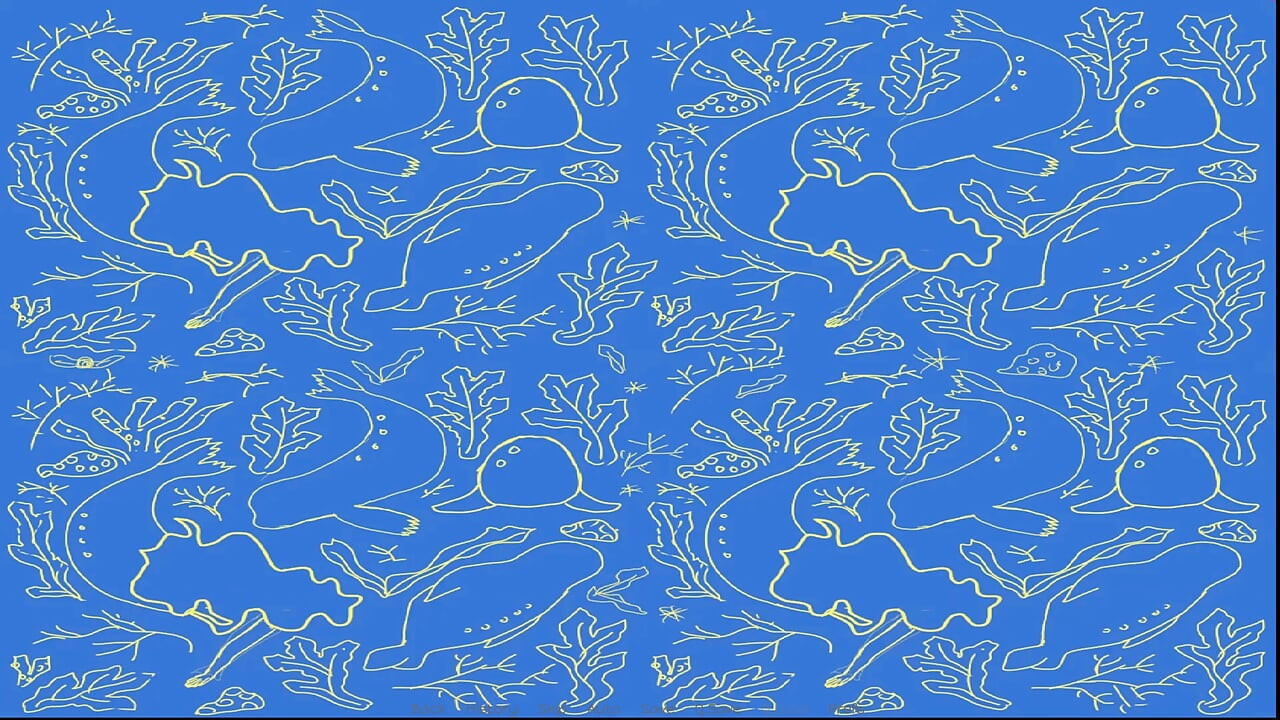 Le Selkie (partie 4)