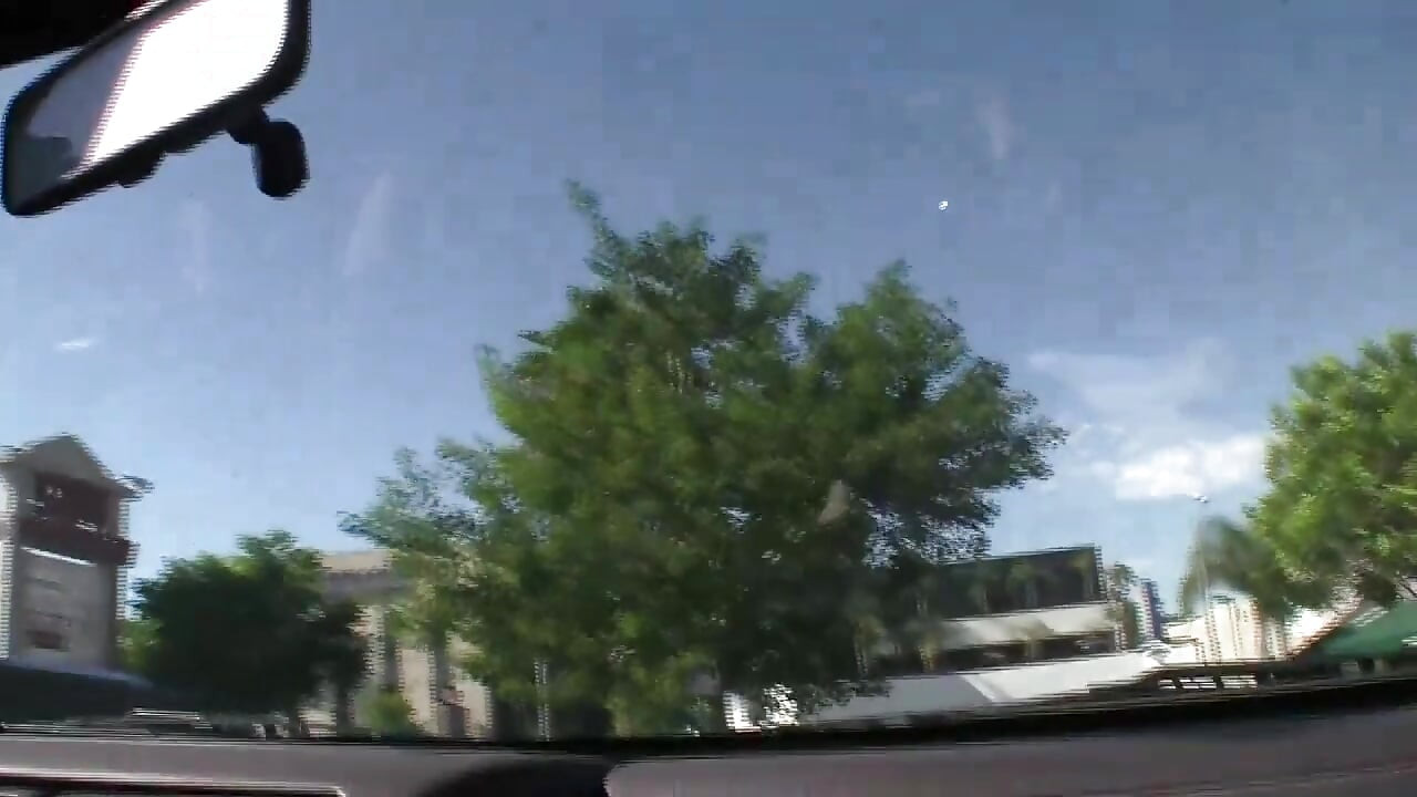 Чудова брюнетка відтрахана в відео від першої особи