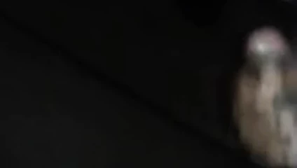 Zavallı zenci dölü