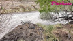 Pratinjau video