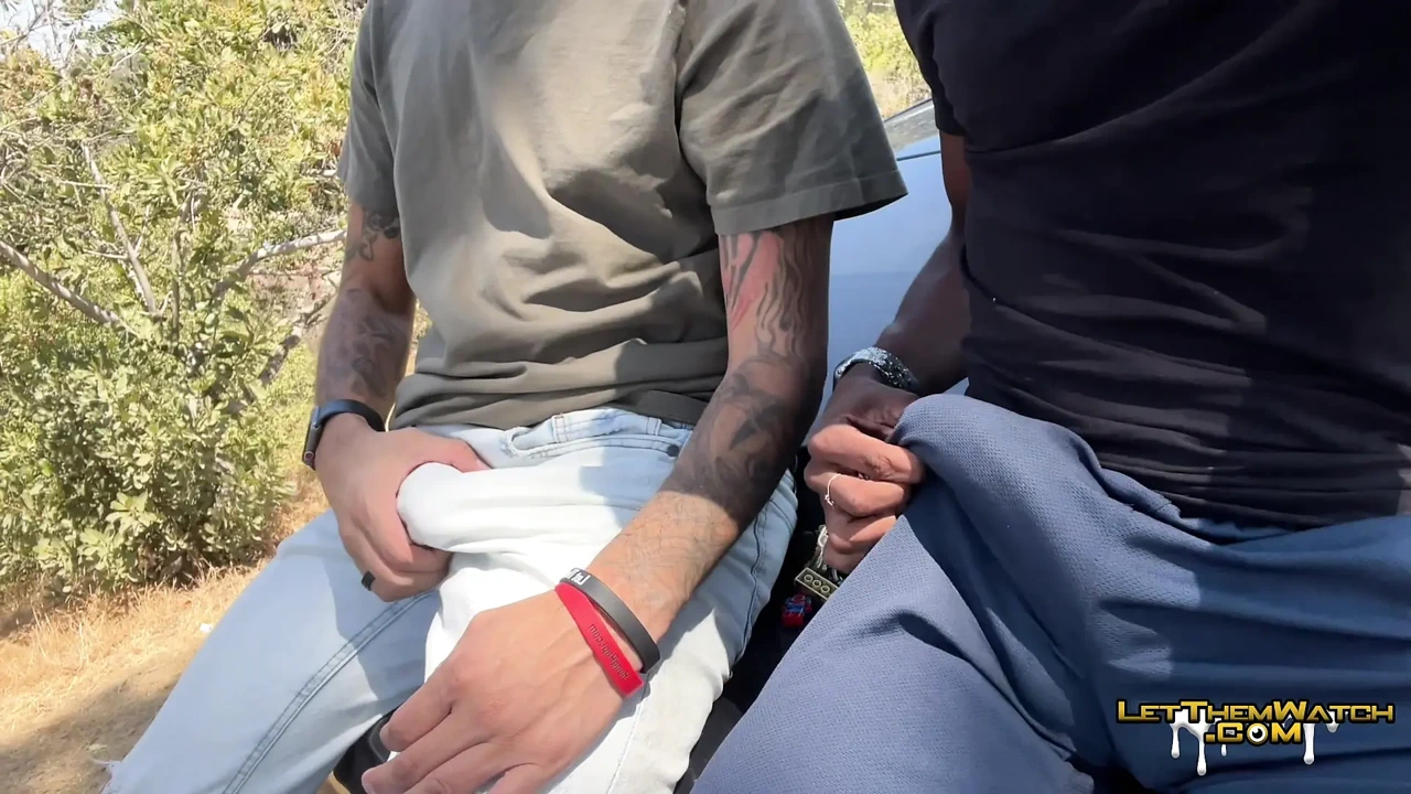 2 Big Cocks Tag Team Muscle Ass Hardcore Cumshot Public Interracial