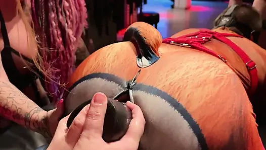 Tut Tut! Here come the train