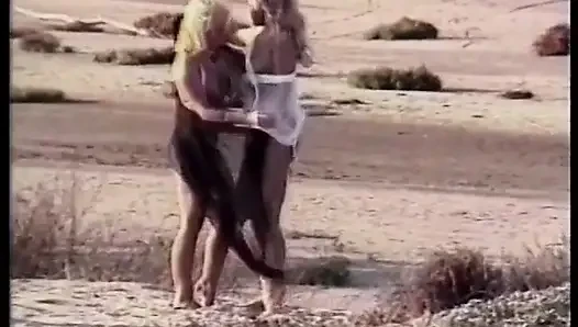 Blonde lesbians lovers lick each other on the sandy beach - Vintage video- No audio,but music