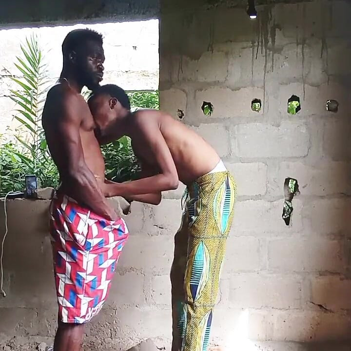 A Bush Hang Out