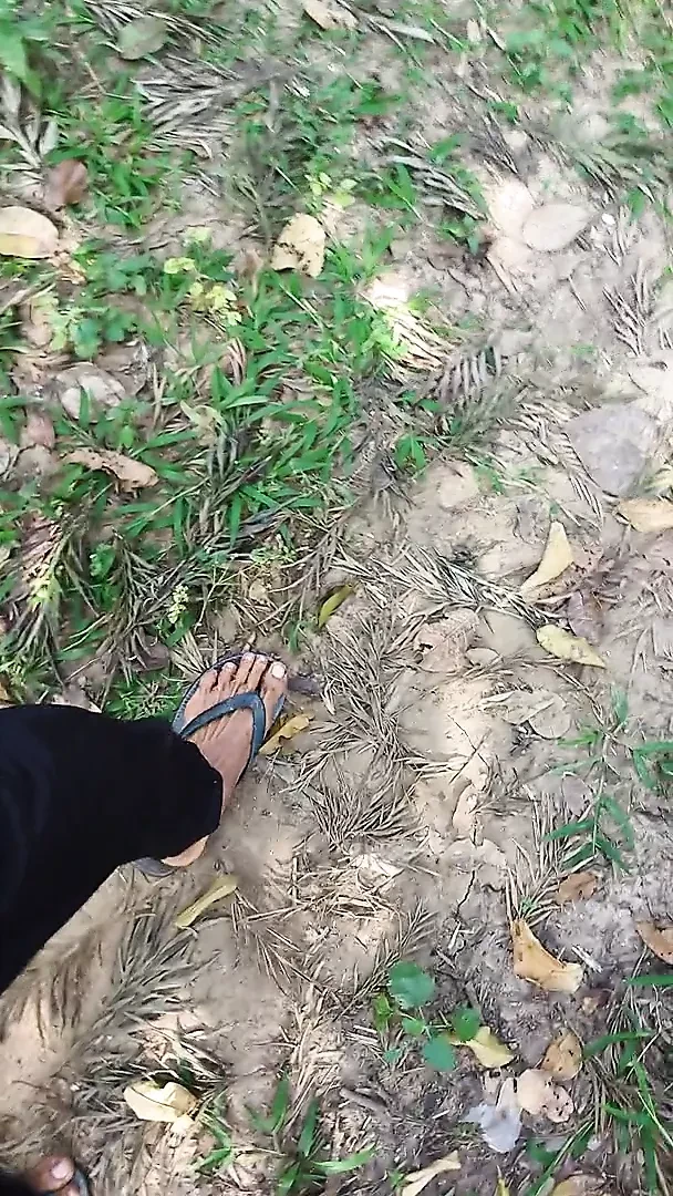 Sun up, dick out, pussy fucked