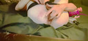 Pregled videozapisa