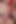 Teen Girls Wild Big Dick Four Hands Handjob Thick Cum Experience