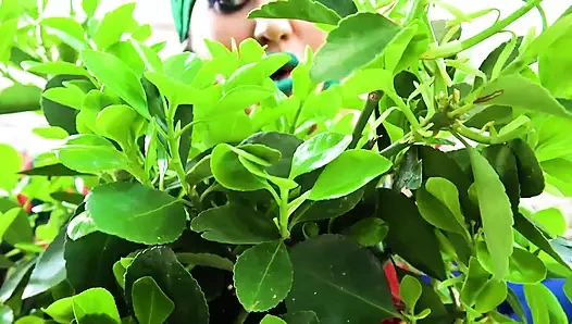 Kiss Poison Ivy'nin yeşil dudaklarını öp
